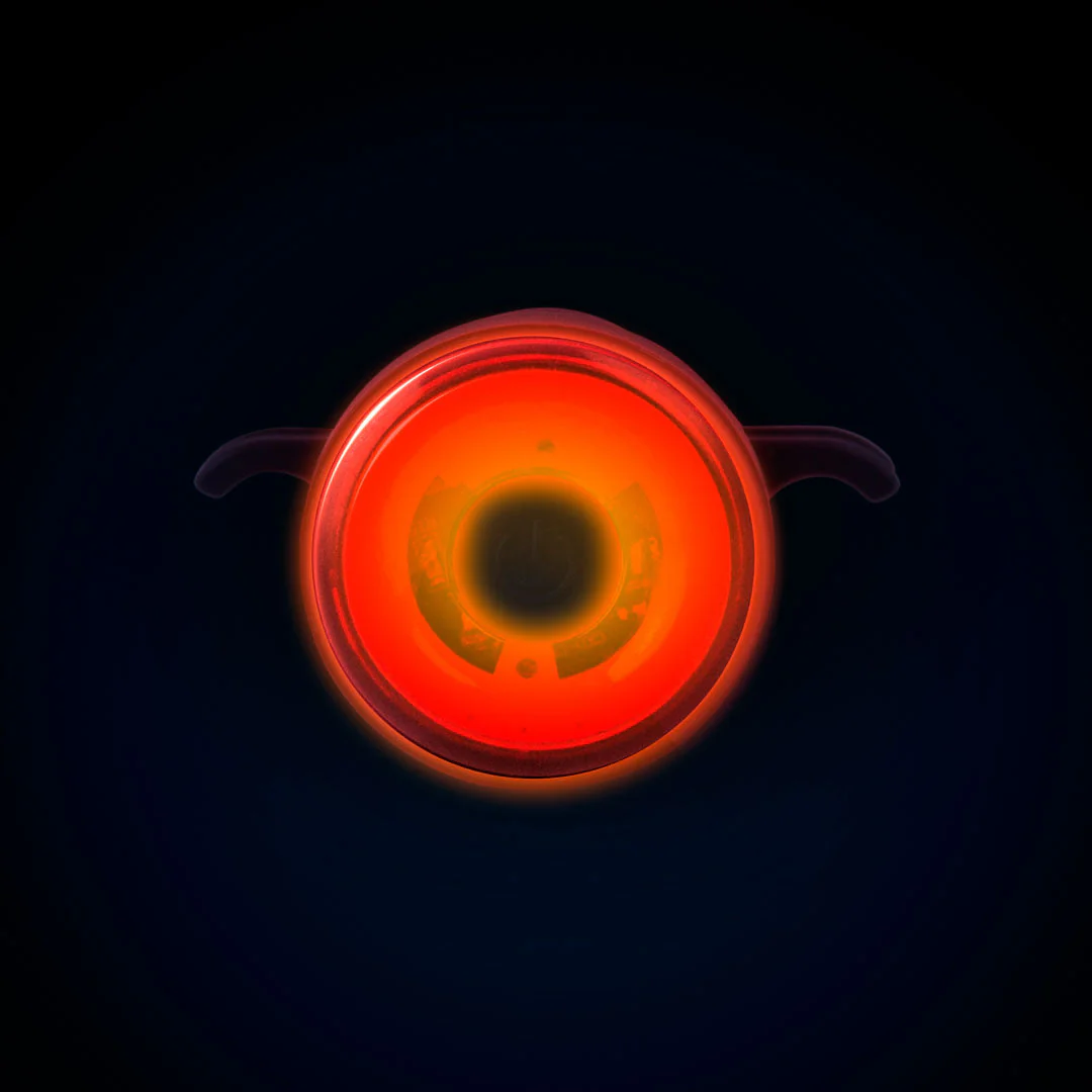 Luce posteriore - RL04 - Image 8